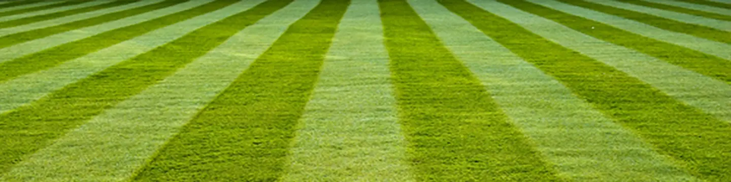 turf lawn mower lines
